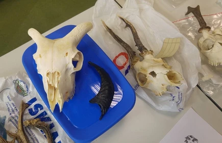 Podsumowanie warsztat&oacute;w dla licelist&oacute;w Rozwiń skrzydła - nieograniczone możliwości na UJ 7