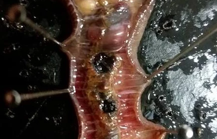 Podsumowanie warsztatów dla licelistów Rozwiń skrzydła - nieograniczone możliwości na UJ 3