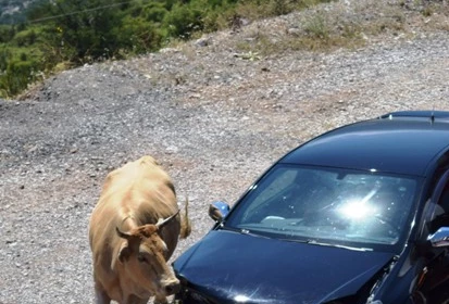 Włochy i Grecja 2017 54