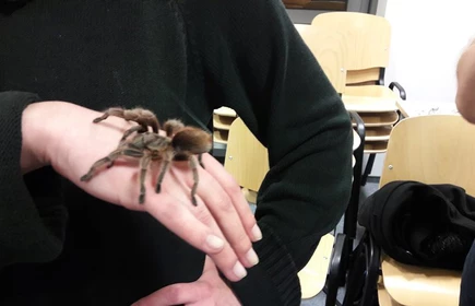 Noc biolog&oacute;w w Krakowie - galeria 2