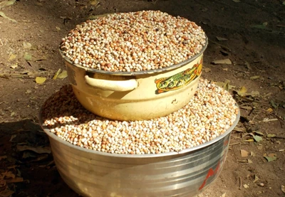 Tysiąc pączk&oacute;w dla Afryki 5