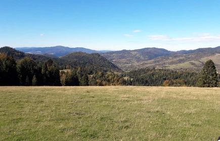 Na zdjęciu łąka w tle g&oacute;ry