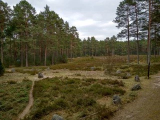 Najlepszy Historyk - galeria 7