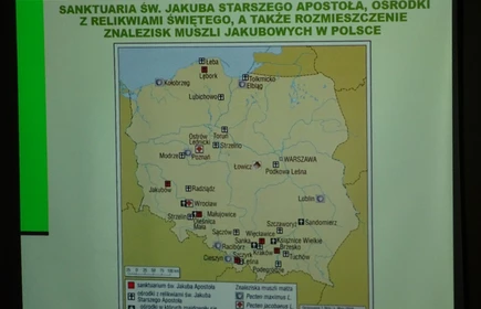 Na zdjęciu projektor na którym prezentowany jest jeden z tematów spotkania
