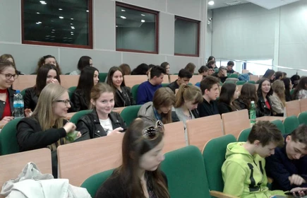 O Irlandii na UP - galeria 1