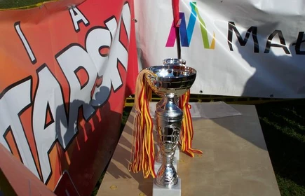 Mistrzowie w sztafecie - galeria 13