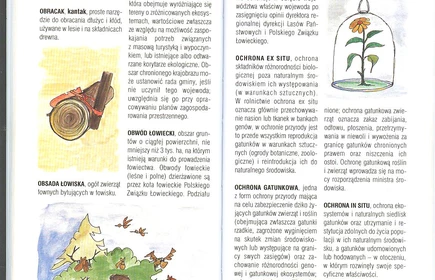 Przyroda Ziemi Bocheńskej 38