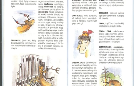 Przyroda Ziemi Bocheńskej 41