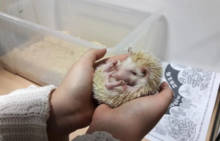 Noc biologów w Krakowie - galeria 1