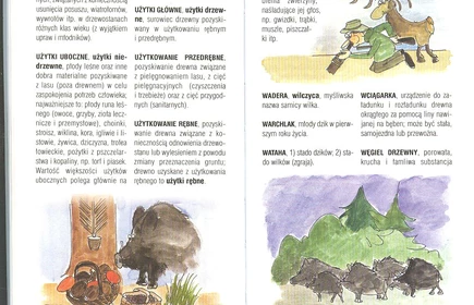 Przyroda Ziemi Bocheńskej 69