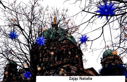 Ozdobne gwiazdy w tle Berlińska katedra