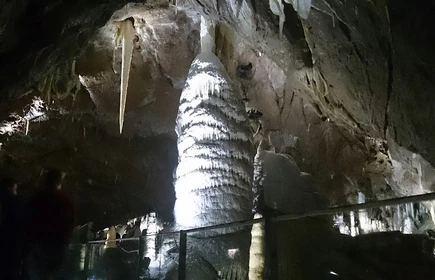 Sukces naszej drużyny w Matematycznej Lidze Zadaniowej 16