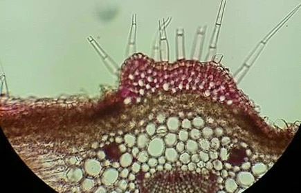 Podsumowanie warsztat&oacute;w dla licelist&oacute;w Rozwiń skrzydła - nieograniczone możliwości na UJ 9