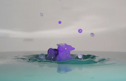 Wyróżnienie w konkursie 3