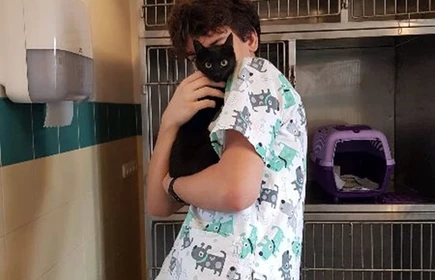 Dzień Przedsiębiorczości 2019 - galeria 22