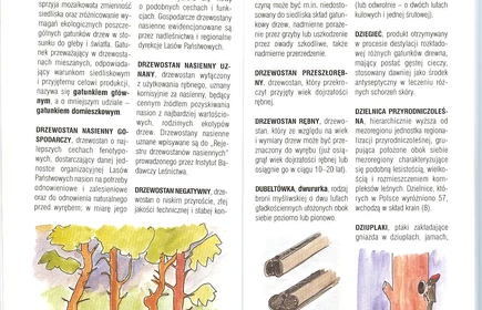 Przyroda Ziemi Bocheńskej 10