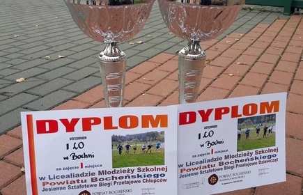Na zdjęciu puchary oraz dyplomy
