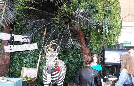 Targi Edukacyjne 2019 - galeria 16