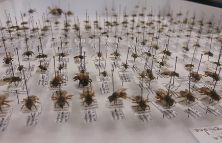 Podsumowanie warsztat&oacute;w dla licelist&oacute;w Rozwiń skrzydła - nieograniczone możliwości na UJ 4