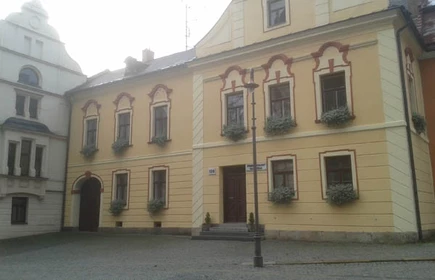 Wizyta w Gymnazium Vincence Makovskeho w Novem Meste na Morawach 6