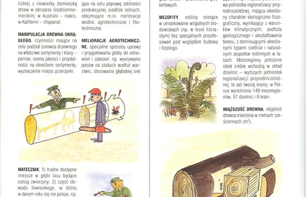 Przyroda Ziemi Bocheńskej 32