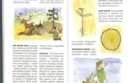 Przyroda Ziemi Bocheńskej 56