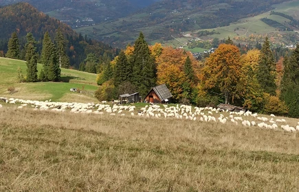 g&oacute;rski krajobraz