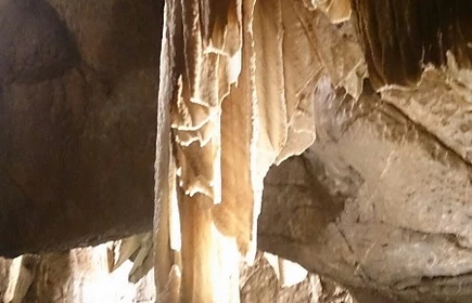 Sukces naszej drużyny w Matematycznej Lidze Zadaniowej 14