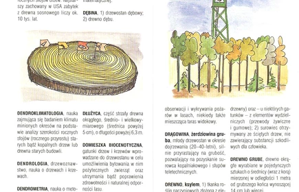 Przyroda Ziemi Bocheńskej 7