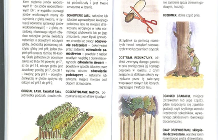 Przyroda Ziemi Bocheńskej 39