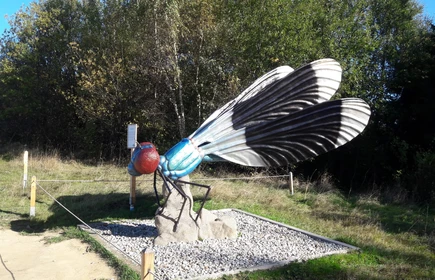 Na zdjęciu spory model ważki