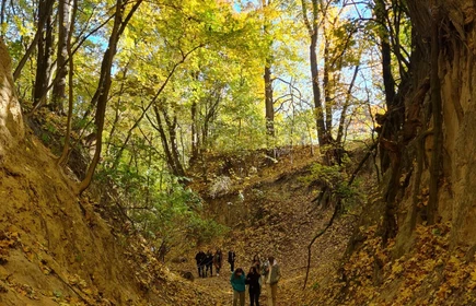 Wąw&oacute;z Kr&oacute;lowej Jadwigi