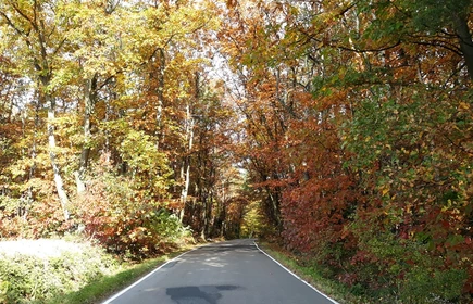 Szlakiem cmentarzy - galeria 8