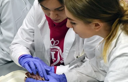 Biologia na UJ - galeria 6