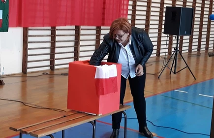 Bieg Niepodległościowy - galeria 28