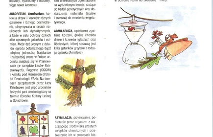 Przyroda Ziemi Bocheńskej 15