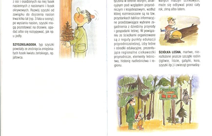 Przyroda Ziemi Bocheńskej 63