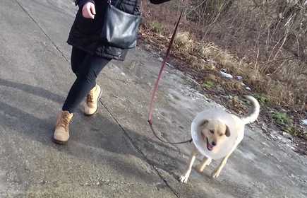 Nie kupuj &ndash; zaadoptuj - galeria 3