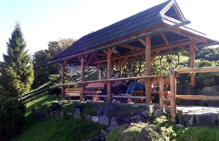 Uczniowie na drewnianej ławie 