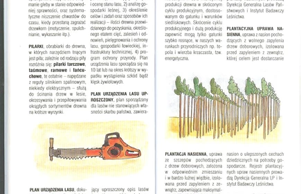 Przyroda Ziemi Bocheńskej 45