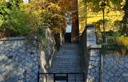 Ucho Igielne Sandomierz