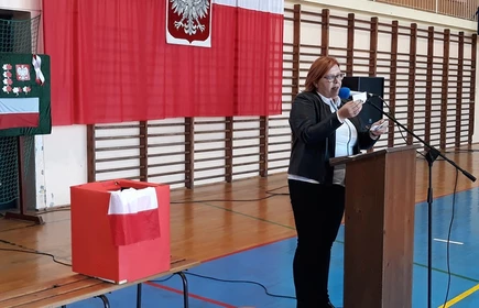 Bieg Niepodległościowy - galeria 29