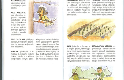 Przyroda Ziemi Bocheńskej 51