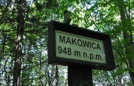 drogowskaz