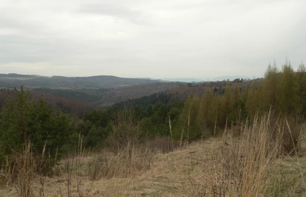 V  ZŁAZISKO DLA MŁODZIEŻY          Z OKAZJI MIĘDZYNARODOWEGO DNIA OCHRONY ZABYTKÓW Jamna, Pogórze Rożnowskie, 18.04.2012.13