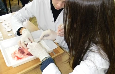 Małopolska Chmura Edukacyjna w I LO - galeria 2