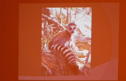 Madagaskar w I Liceum 4