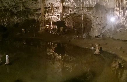 Sukces naszej drużyny w Matematycznej Lidze Zadaniowej 11