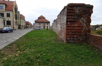 Sandomierz - Kazimierz Dolny - galeria 19