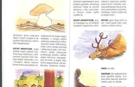 Przyroda Ziemi Bocheńskej 20